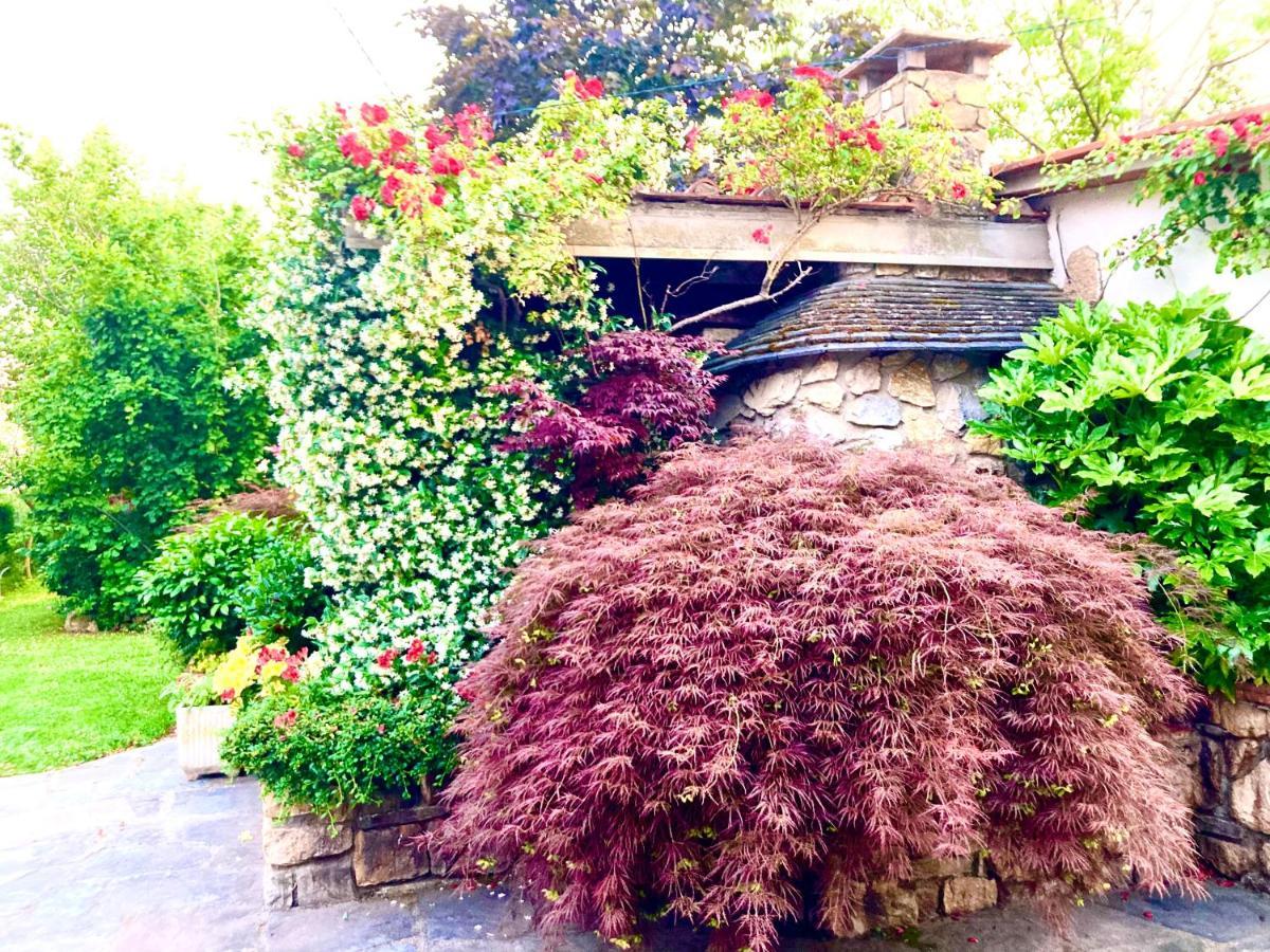 Tuscany To Love - Holiday Home - Casa Vacanze Pieve a Nievole Exterior foto